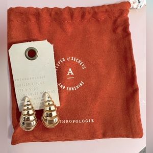 Anthropologie earrings